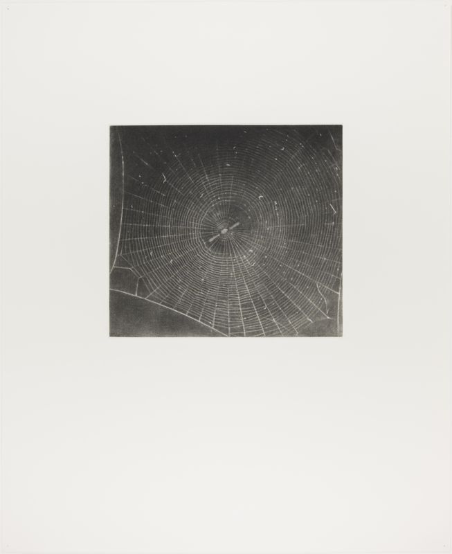 Vija Celmins, State proof for Web #2, [n.d.]