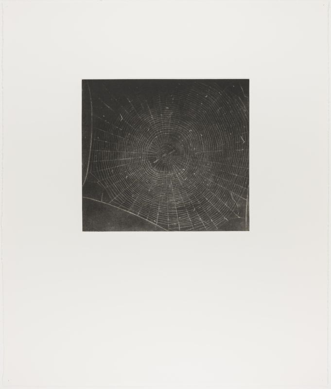 Vija Celmins, State proof for Web #2, [n.d.]