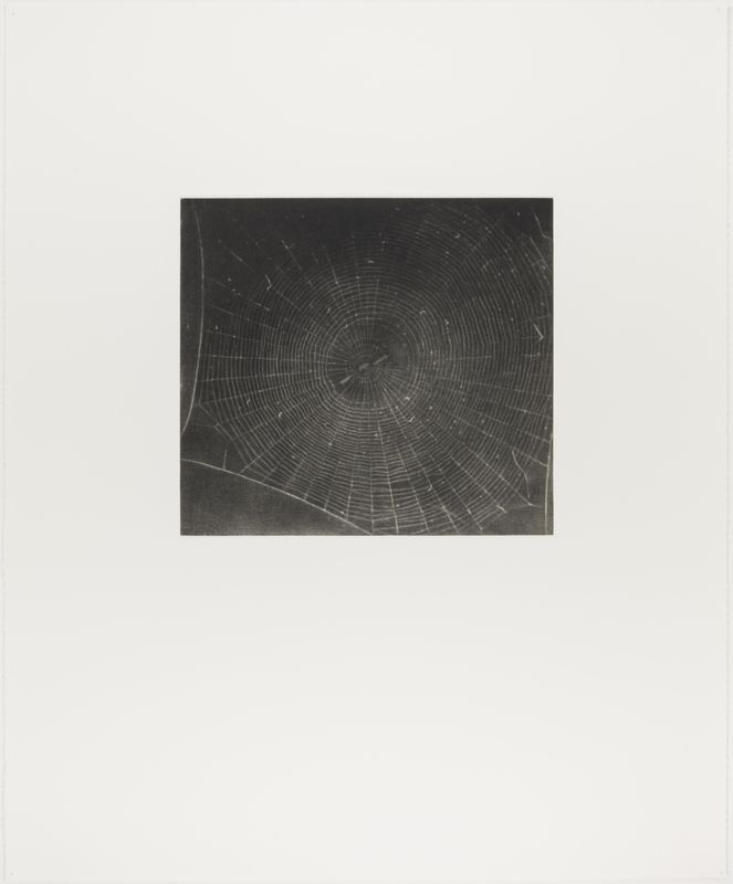 Vija Celmins, State proof for Web #2, [n.d.]