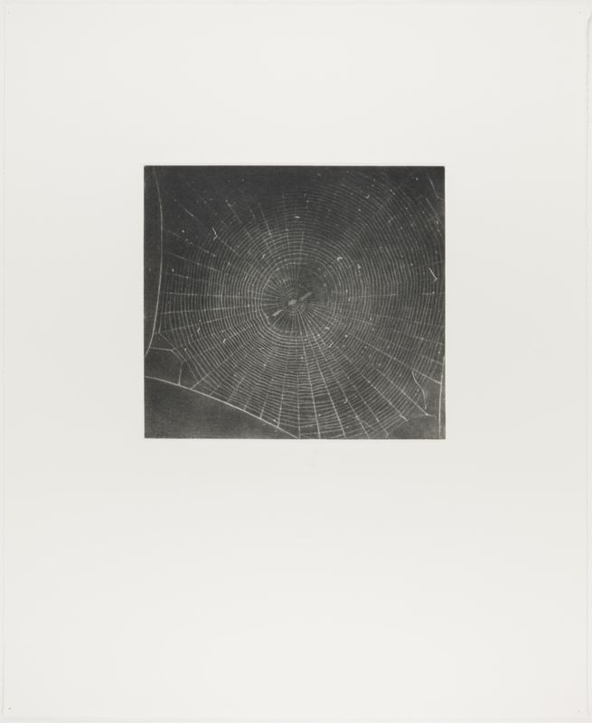 Vija Celmins, State proof for Web #2, [n.d.]