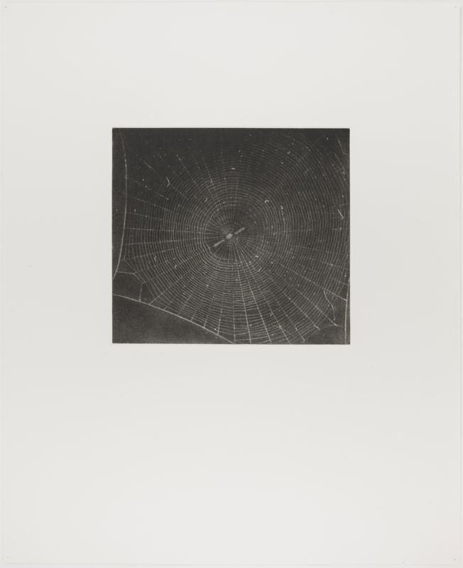 Vija Celmins, State proof for Web #2, [n.d.]