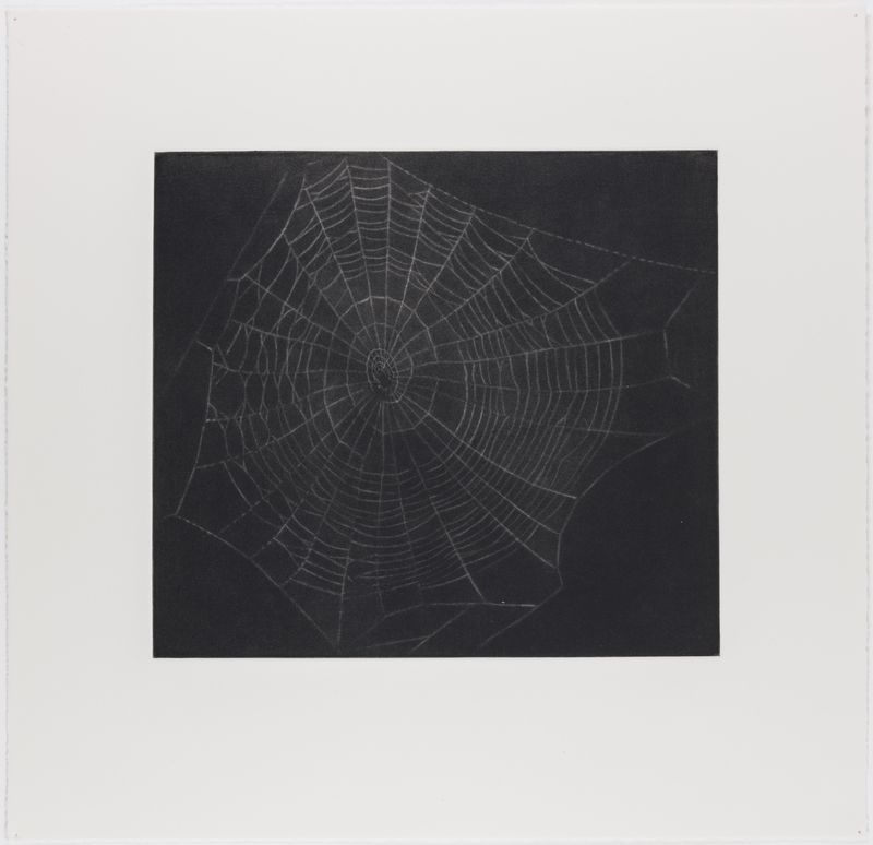 Vija Celmins, State proof for Web #1, [n.d.]
