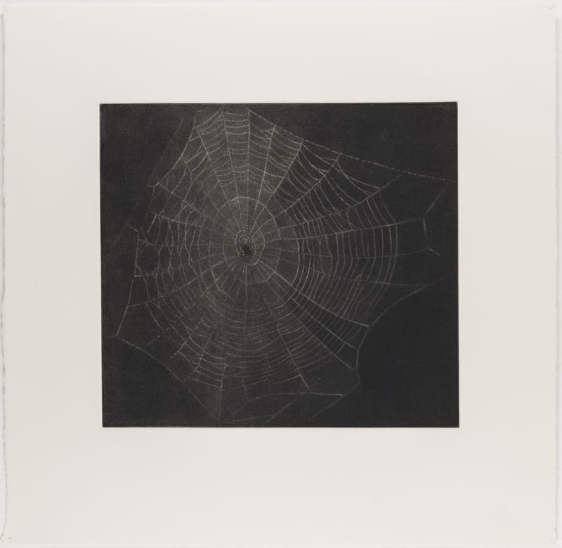 Vija Celmins, State proof for Web #1, [n.d.]