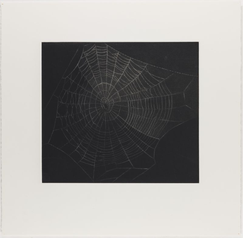 Vija Celmins, State proof for Web #1, [n.d.]