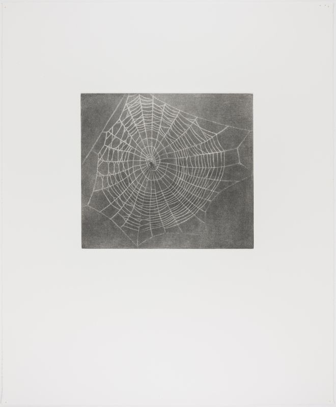 Vija Celmins, State proof for Web #1, [n.d.]