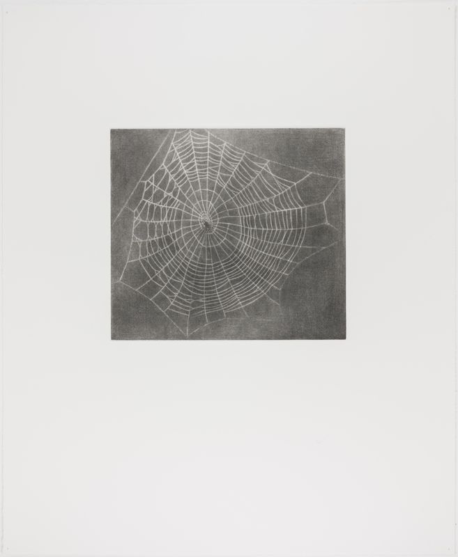 Vija Celmins, State proof for Web #1, [n.d.]