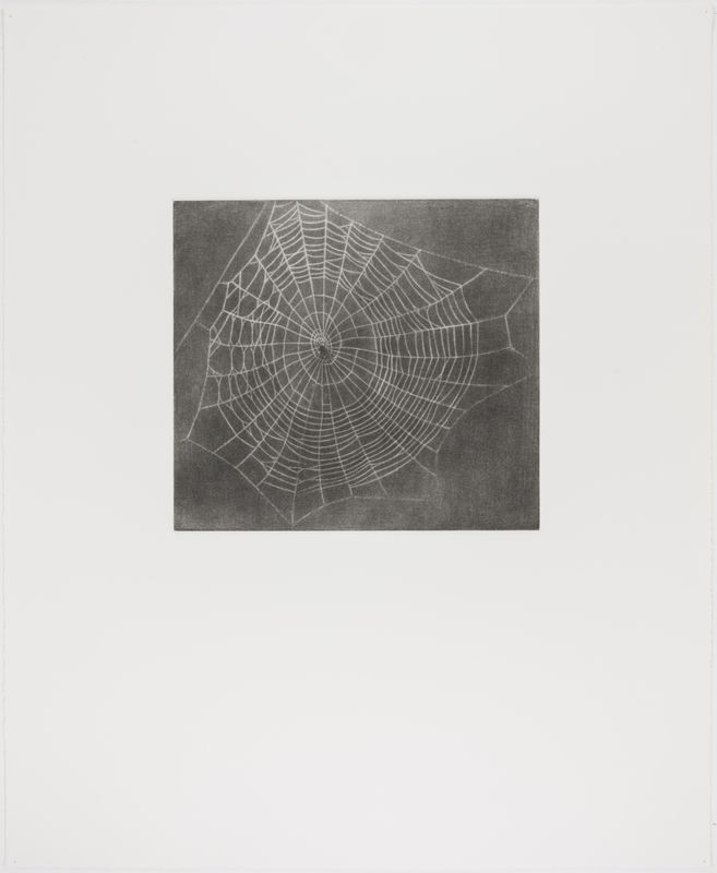 Vija Celmins, State proof for Web #1, [n.d.]
