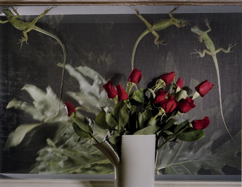 Jo Ann Callis, Roses and Lizards, 1980 (printed in 2009)