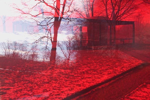 James Welling, 8067, 2008