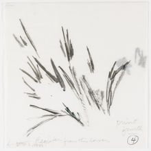 Corita Kent, Untitled, 1980
