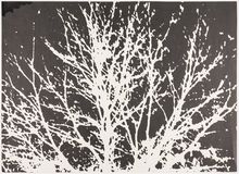 Corita Kent, Untitled, 1972