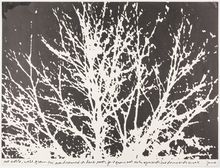 Corita Kent, Untitled, 1972