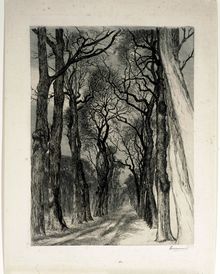 Félix Bracquemond, A Path in the Park of Saint-Cloud in Winter, 1894