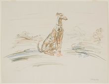 Oskar Kokoschka, Greyhound, 1952