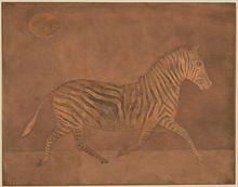 Mario Avati, Zebra in the Moonlight, 1959