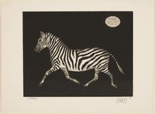 Mario Avati, Zebra in the Moonlight, 1959