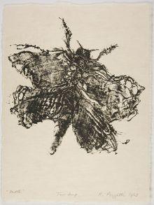 Rudy Pozzatti, Moth (IX), March 21-25, 1963