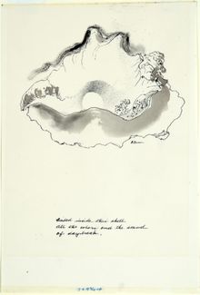 Dorothy Woodhead Brown, Inside this Shell, 1970