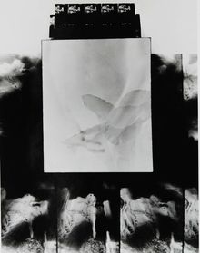 Robbert Flick, Untitled (flower and figure), 1966-1969