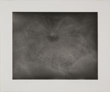 Vija Celmins, Untitled (Web 3), 2003