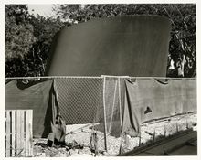 James Welling, Finish BAC-C "Serra and Construction Fence", 2006