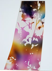 James Welling, Test for 001, Blind Spot Edition, 2006