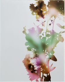 James Welling, Test for 001, Blind Spot Edition, 2006