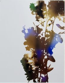 James Welling, Test for 001, Blind Spot Edition, 2006