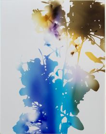 James Welling, Test for 001, Blind Spot Edition, 2006