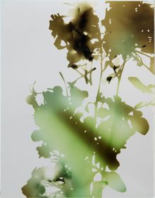 James Welling, Test for 001, Blind Spot Edition, 2006