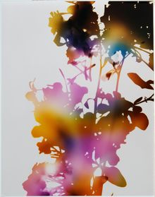 James Welling, Test for 001, Blind Spot Edition, 2006