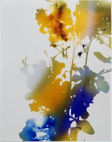 James Welling, Test for 001, Blind Spot Edition, 2006