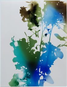 James Welling, Test for 001, Blind Spot Edition, 2006