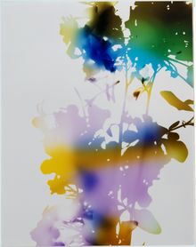 James Welling, Test for 001, Blind Spot Edition, 2006