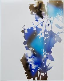 James Welling, Test for 001, Blind Spot Edition, 2006