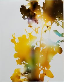 James Welling, Test for 001, Blind Spot Edition, 2006