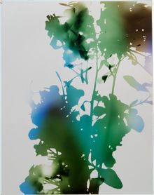 James Welling, Test for 001, Blind Spot Edition, 2006