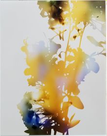 James Welling, Test for 001, Blind Spot Edition, 2006