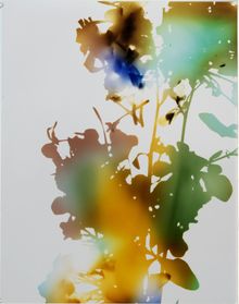 James Welling, Test for 001, Blind Spot Edition, 2006