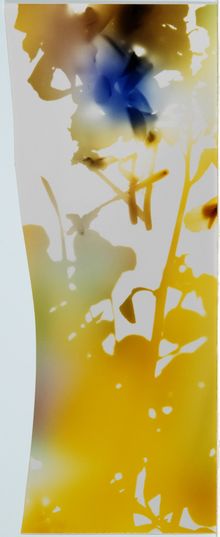 James Welling, Test for 001, Blind Spot Edition, 2006