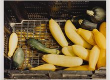 James Welling, Squash, Hawthorne Valley Farm, Ghent, NY, 2002