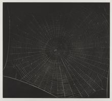 Vija Celmins, State proof for Web #2, [n.d.]