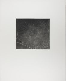Vija Celmins, State proof for Web #2, [n.d.]