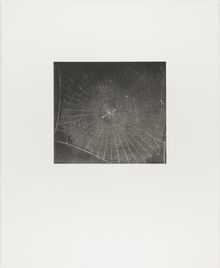 Vija Celmins, State proof for Web #2, [n.d.]