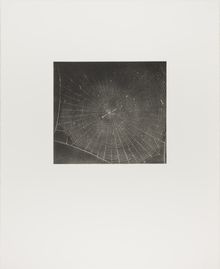 Vija Celmins, State proof for Web #2, [n.d.]