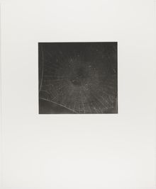 Vija Celmins, State proof for Web #2, [n.d.]