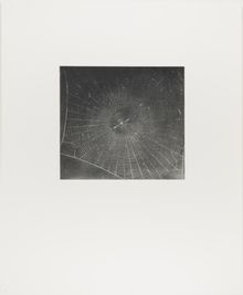 Vija Celmins, State proof for Web #2, [n.d.]