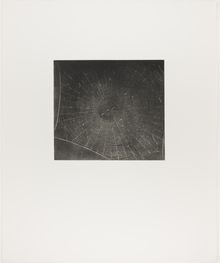 Vija Celmins, State proof for Web #2, [n.d.]