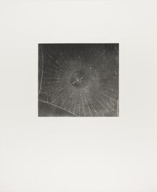 Vija Celmins, State proof for Web #2, [n.d.]