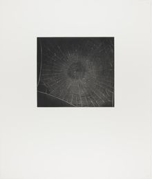 Vija Celmins, State proof for Web #2, [n.d.]